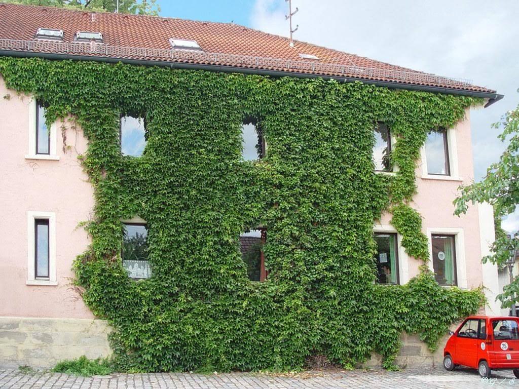 Ivy-covered house with car
