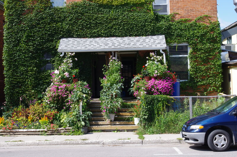 Ivy-covered house with flowers
