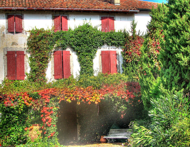 Ivy-covered House with Red Shutters
