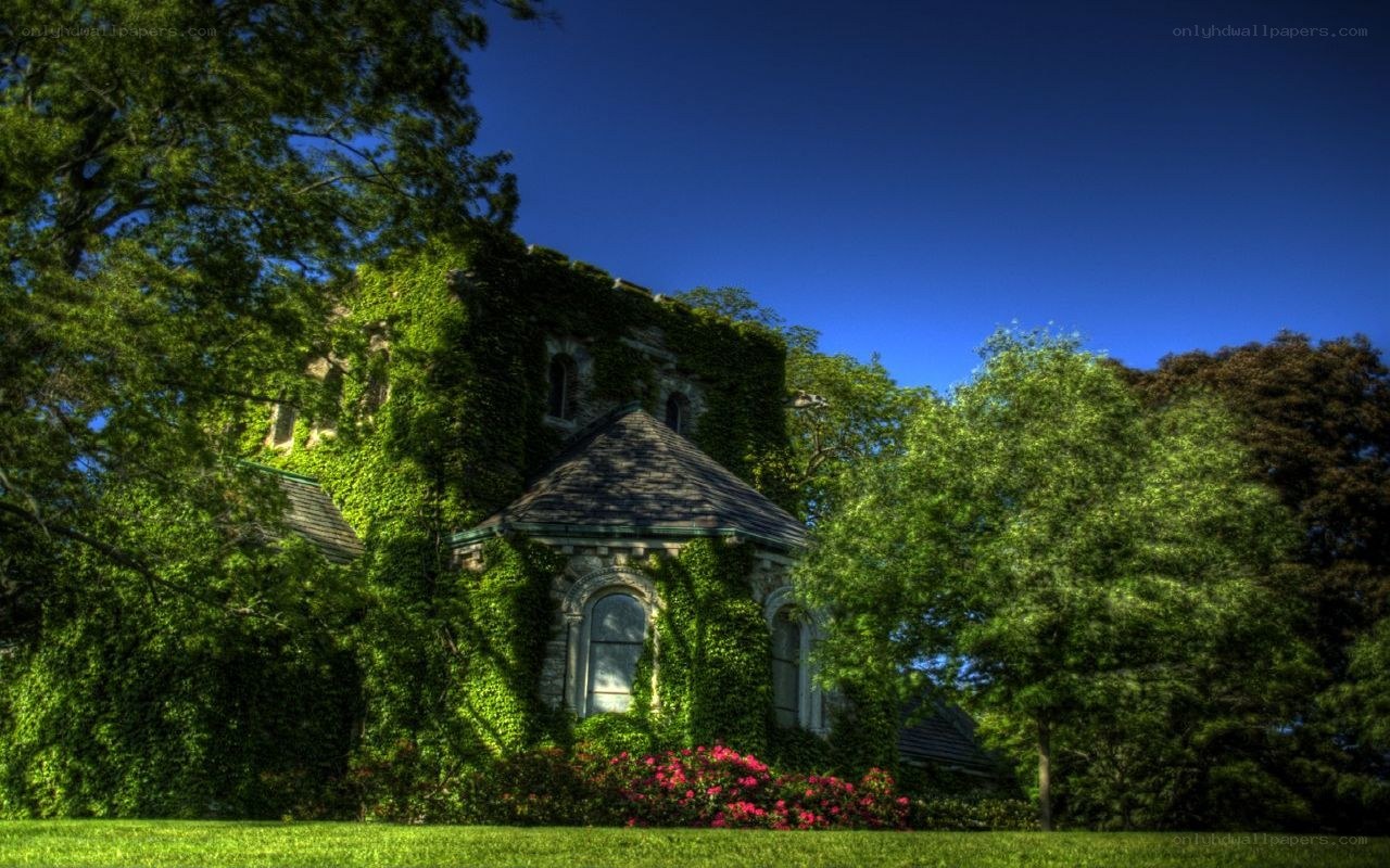 Ivy-covered stone building