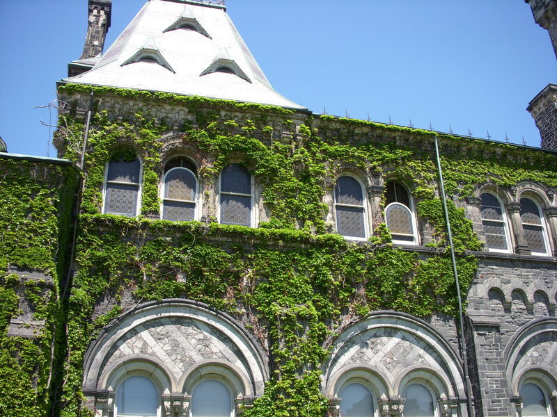 ivy-covered stone building