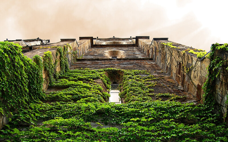 Ivy-covered Stone Structure