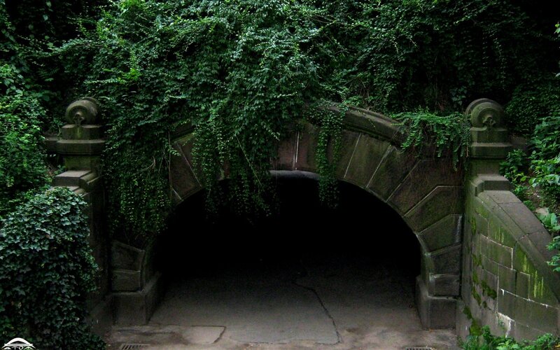Ivy-covered stone tunnel entrance