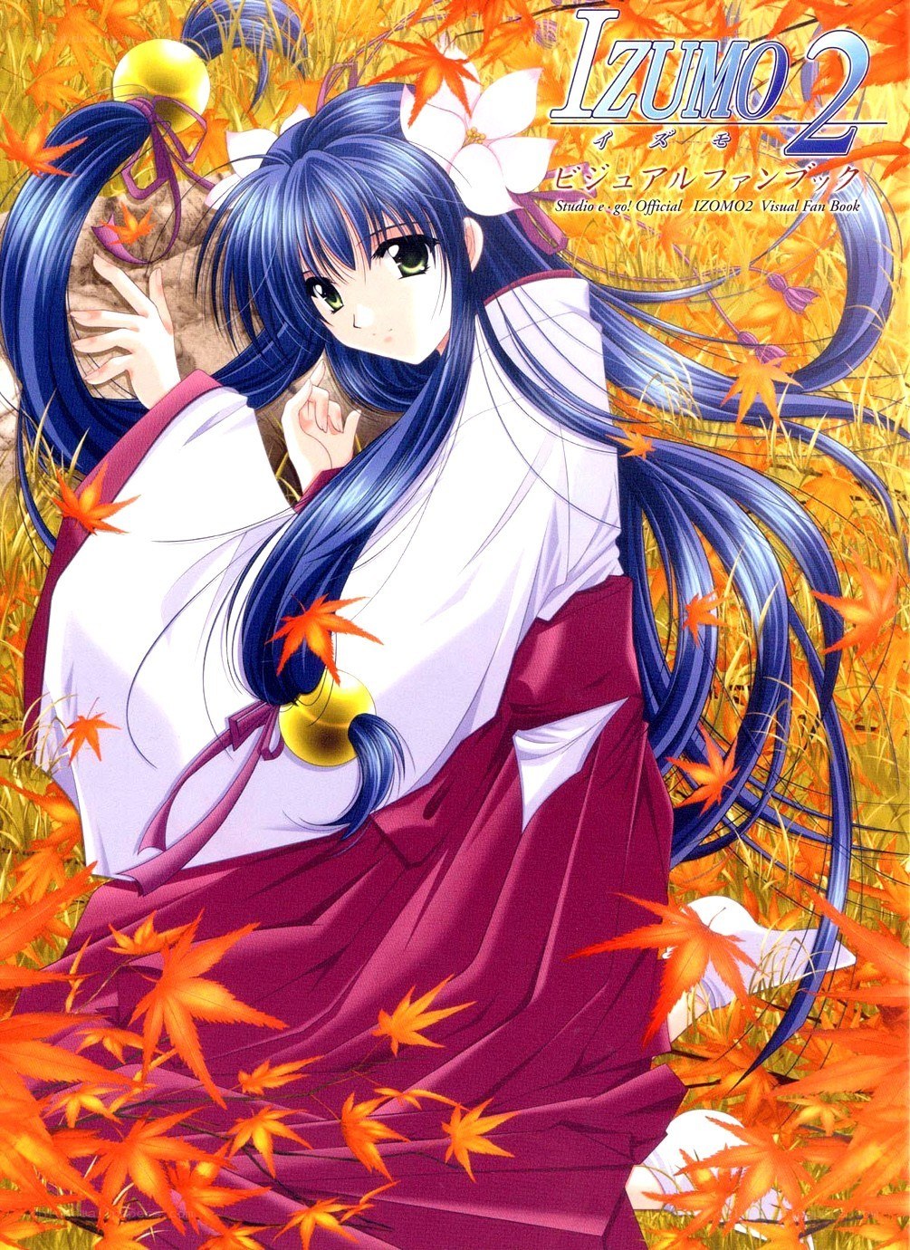Izumo 2 visual fan book cover