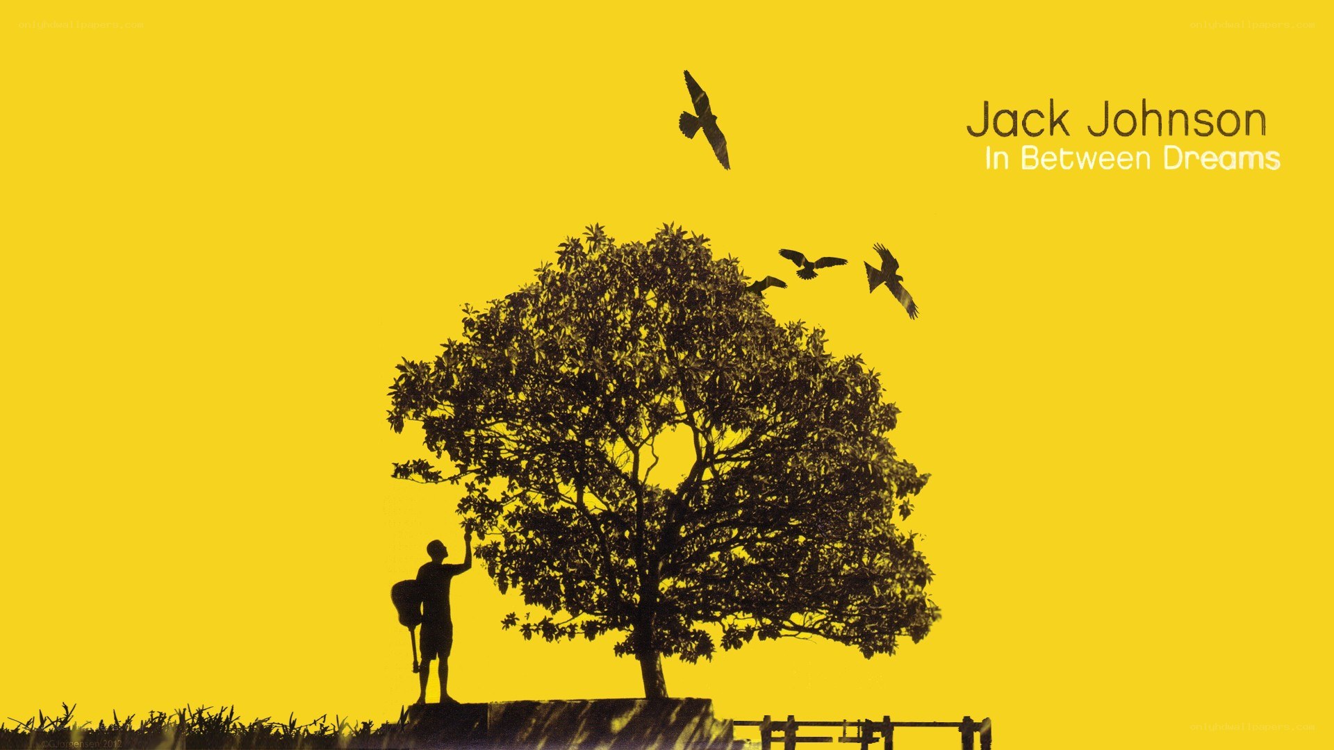 Jack Johnson album cover