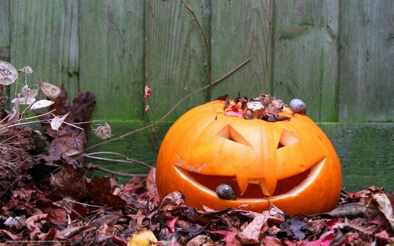 Jack-o'-lantern in autumn leaves