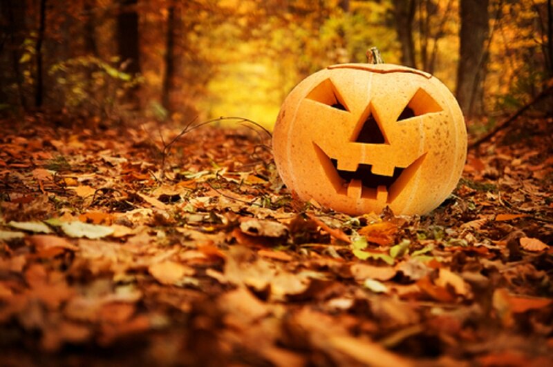 Jack-o'-lantern in Forest — Orange