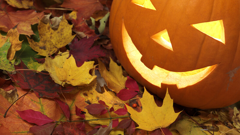 Jack-o'-lantern in Leaves