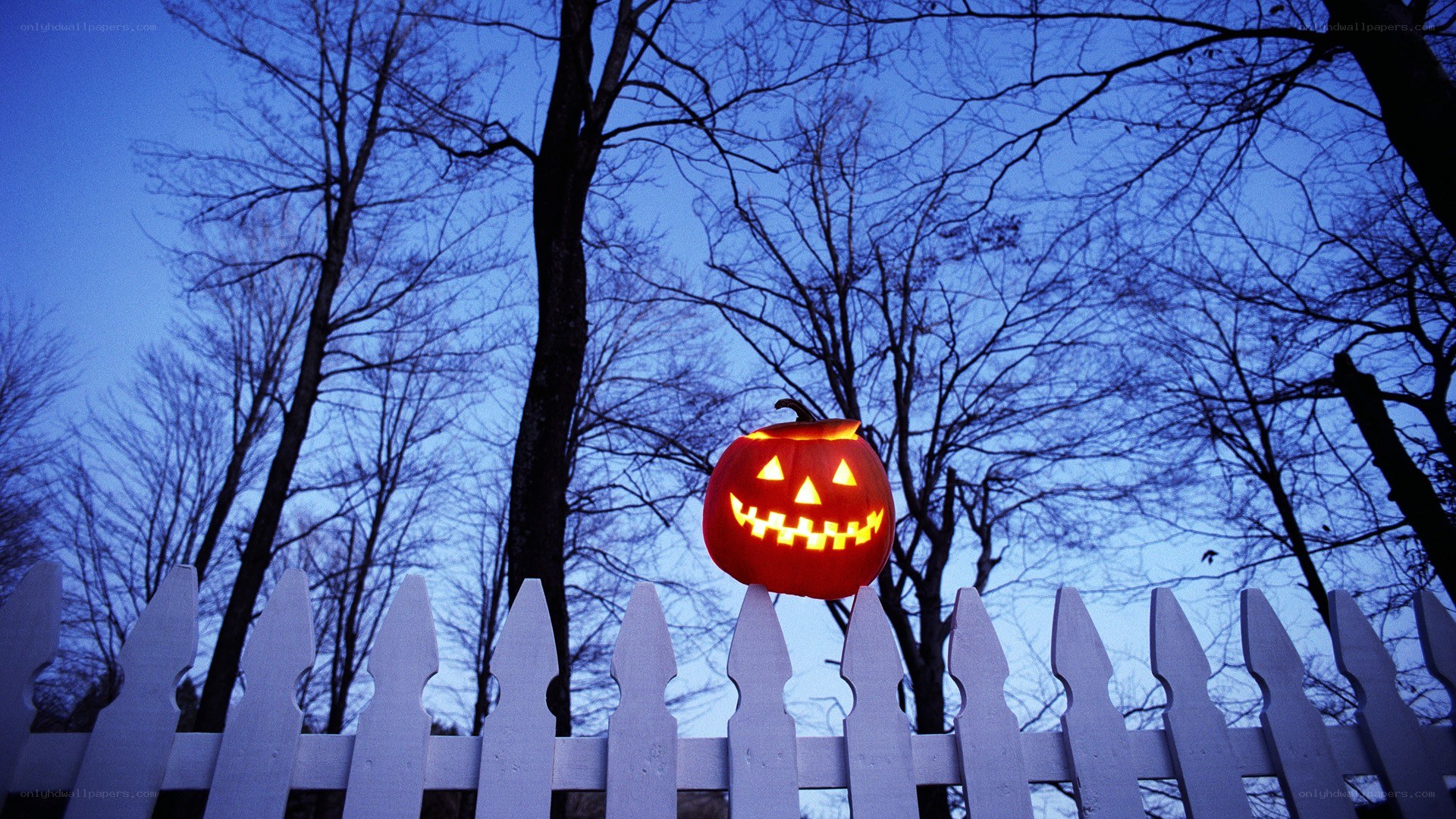 Jack-o'-lantern on a fence