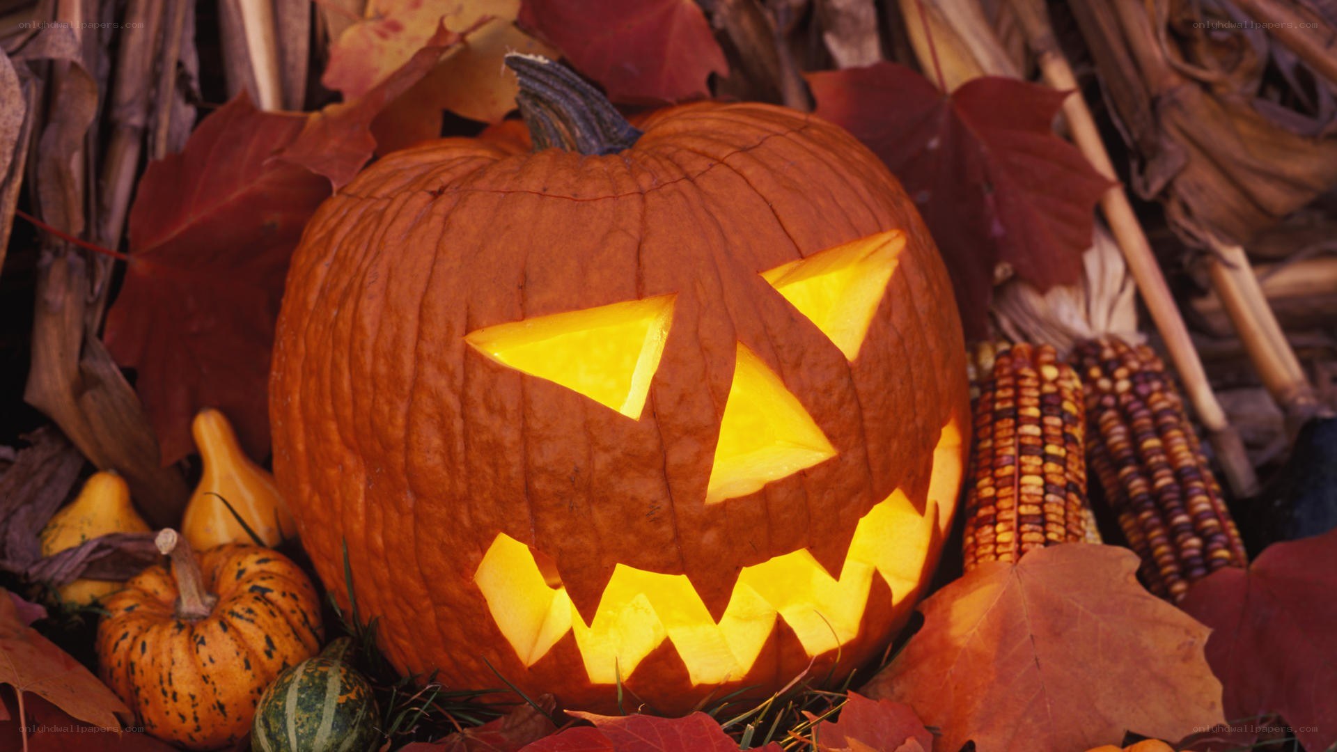 Jack-o'-lantern with autumn leaves