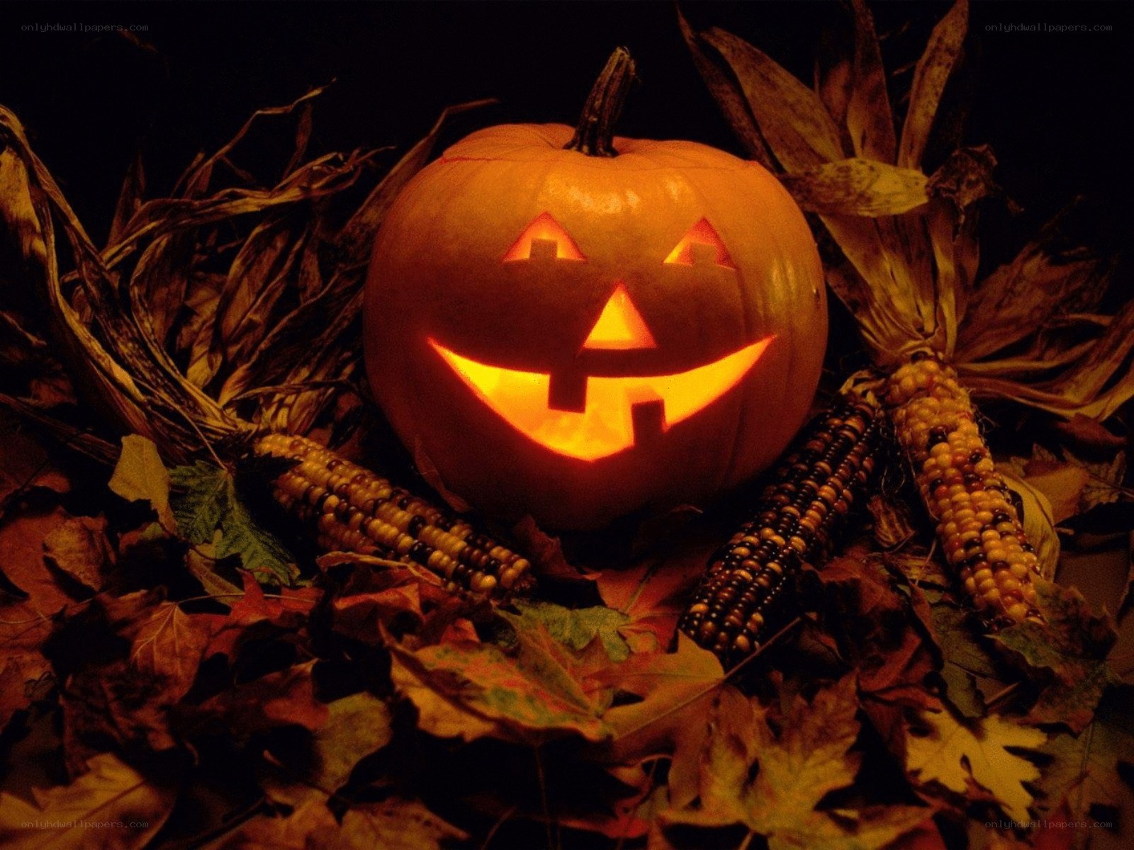 Jack-o'-lantern with corn and leaves