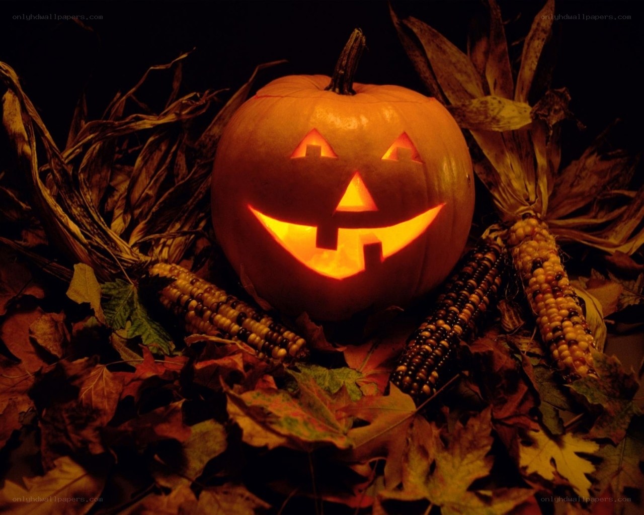 Jack-o'-lantern with corn and leaves