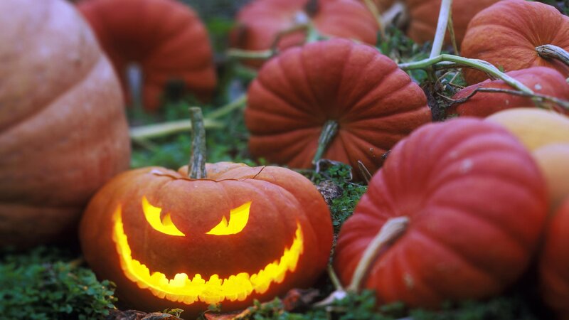 Jack-o'-lantern with pumpkins