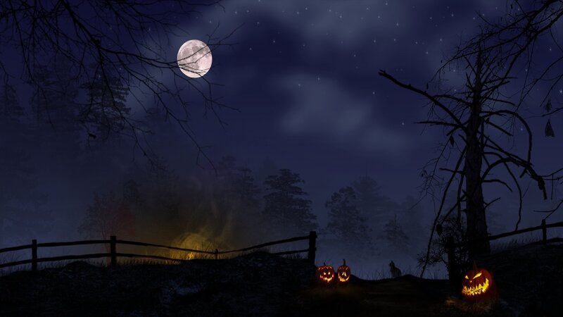 Jack-o'-lanterns in Forest