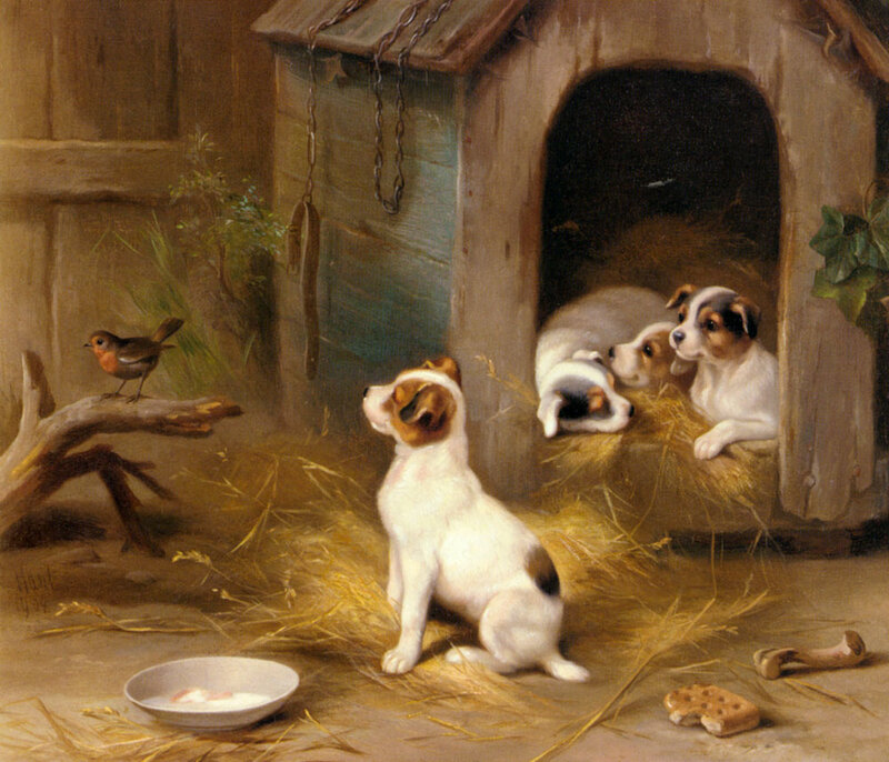 Jack Russell Puppies