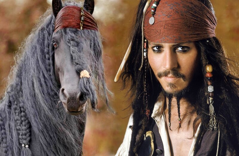 Jack Sparrow and Horse