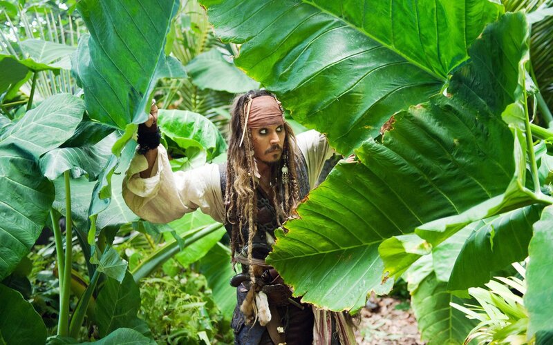 Jack Sparrow in jungle foliage