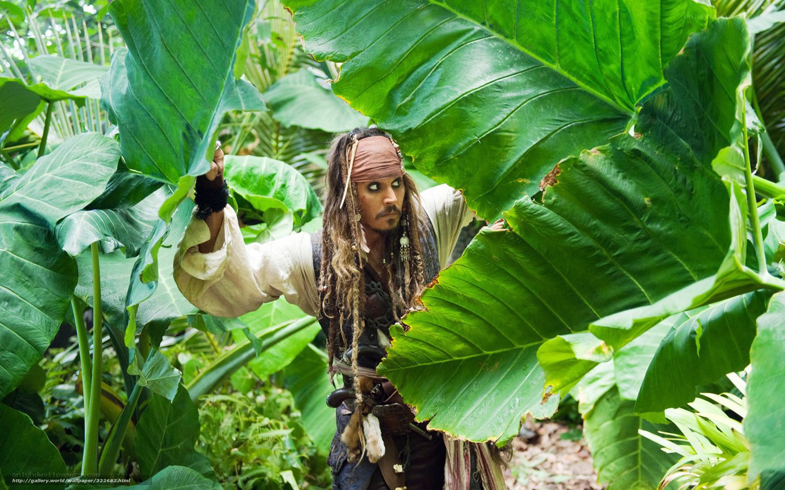 Jack Sparrow in jungle