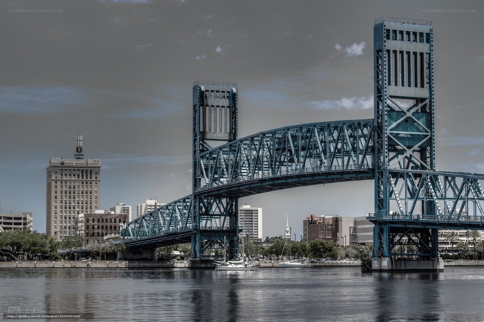 Jacksonville bridge and skyline