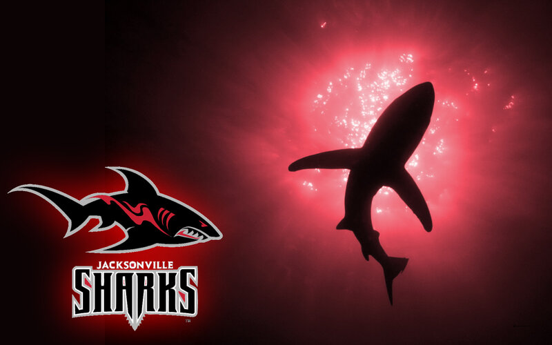 Jacksonville Sharks logo and shark silhouette
