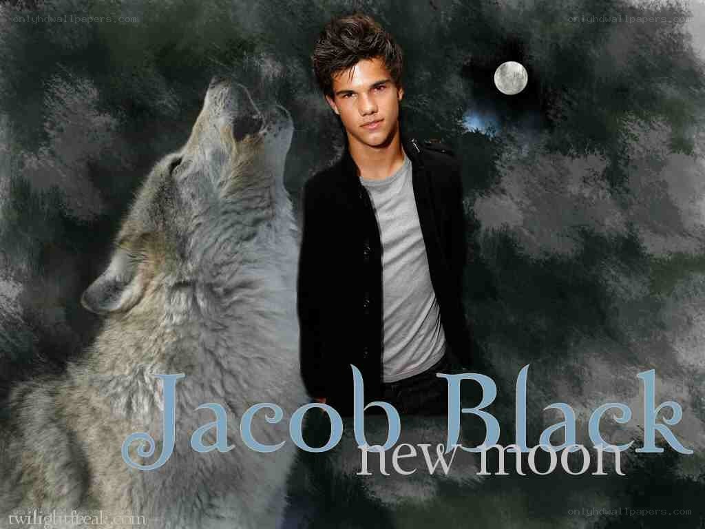 Jacob Black from New Moon