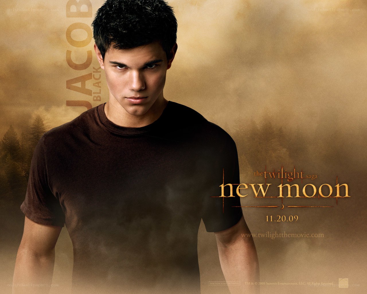 Jacob Black from New Moon