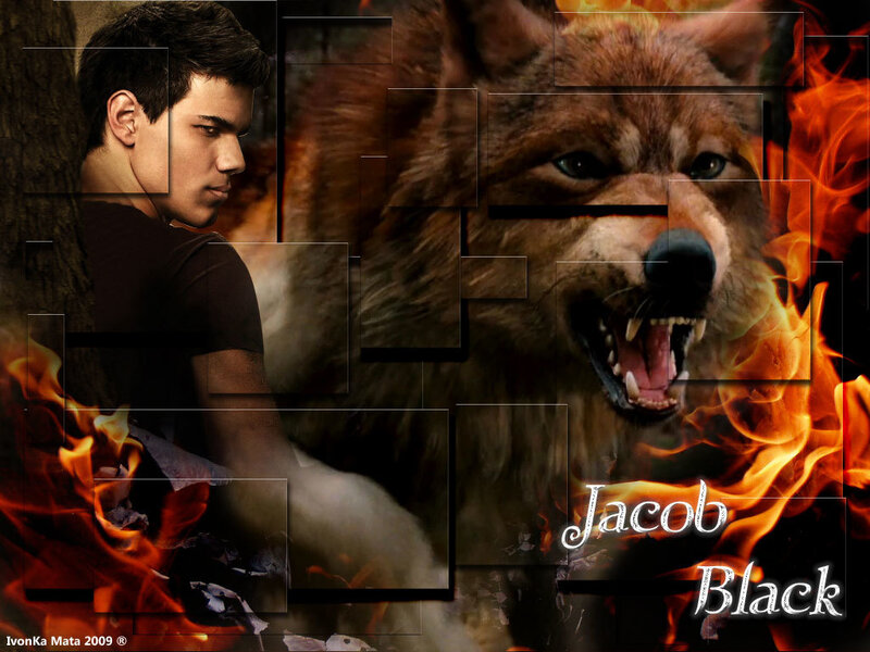 Jacob Black from Twilight