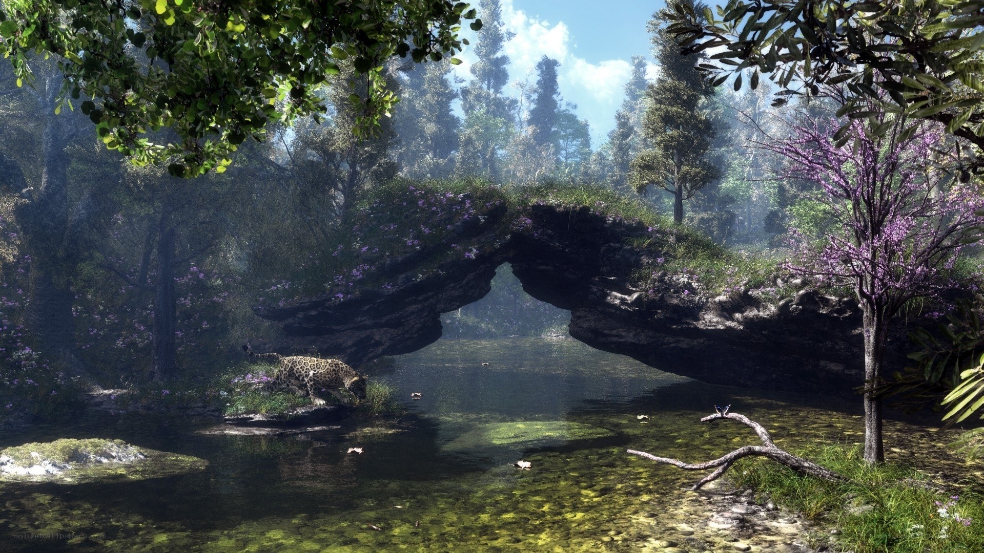 Jaguar by a natural bridge