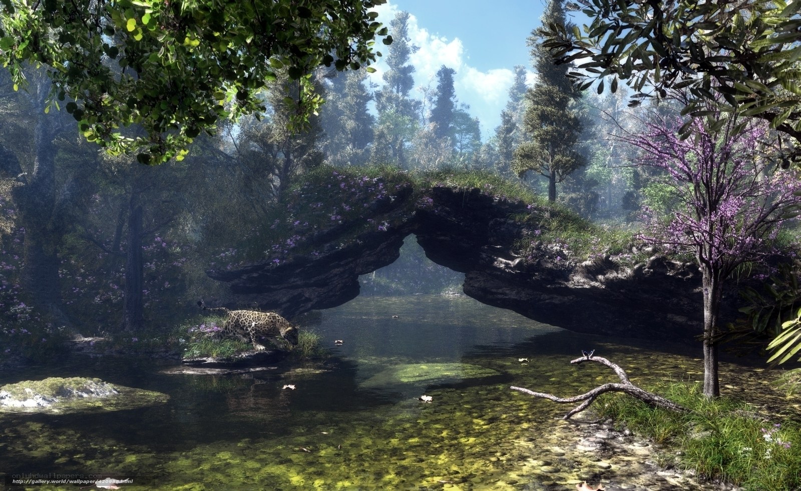 Jaguar by a natural bridge