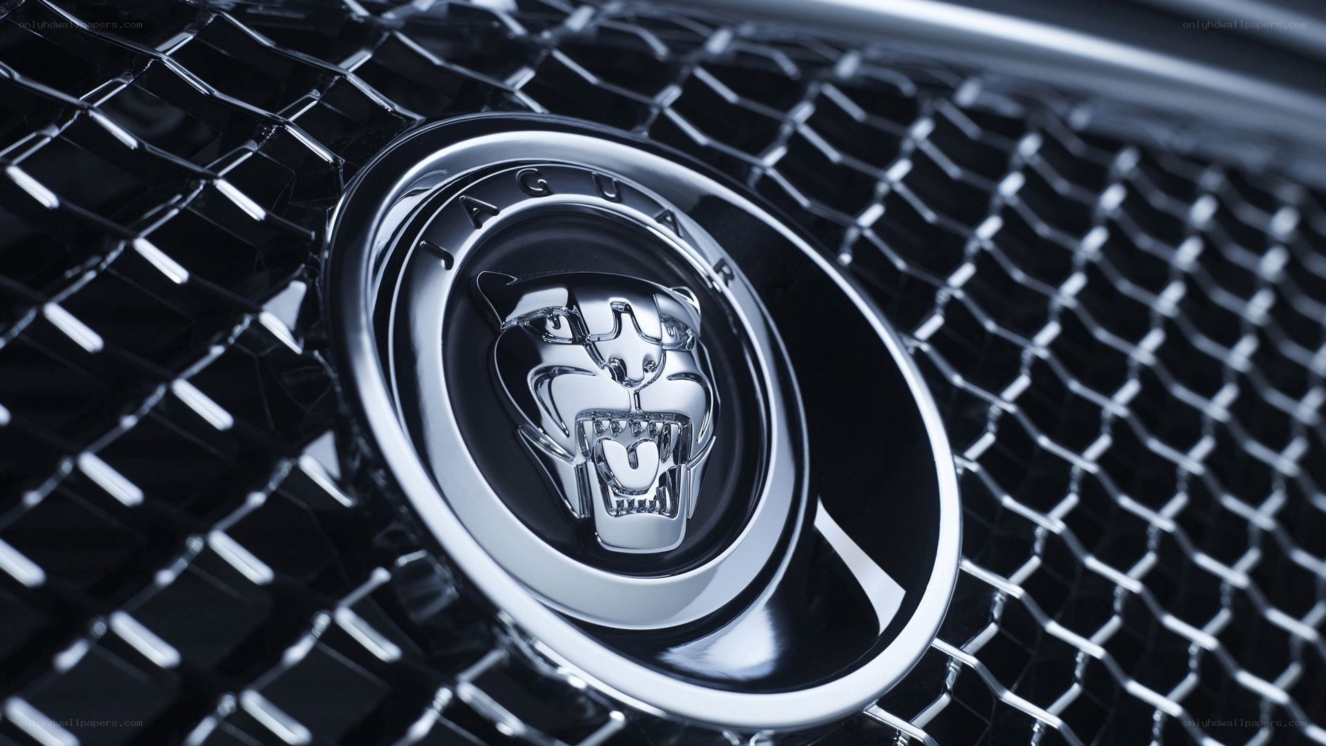 Jaguar car emblem close-up