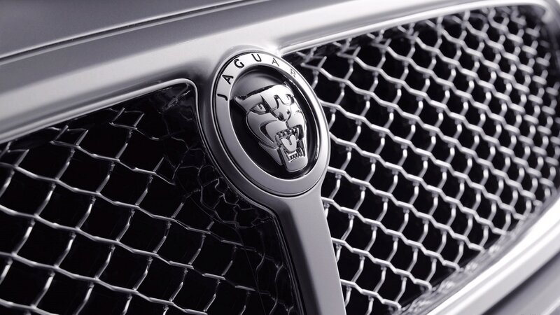 Jaguar car emblem close-up