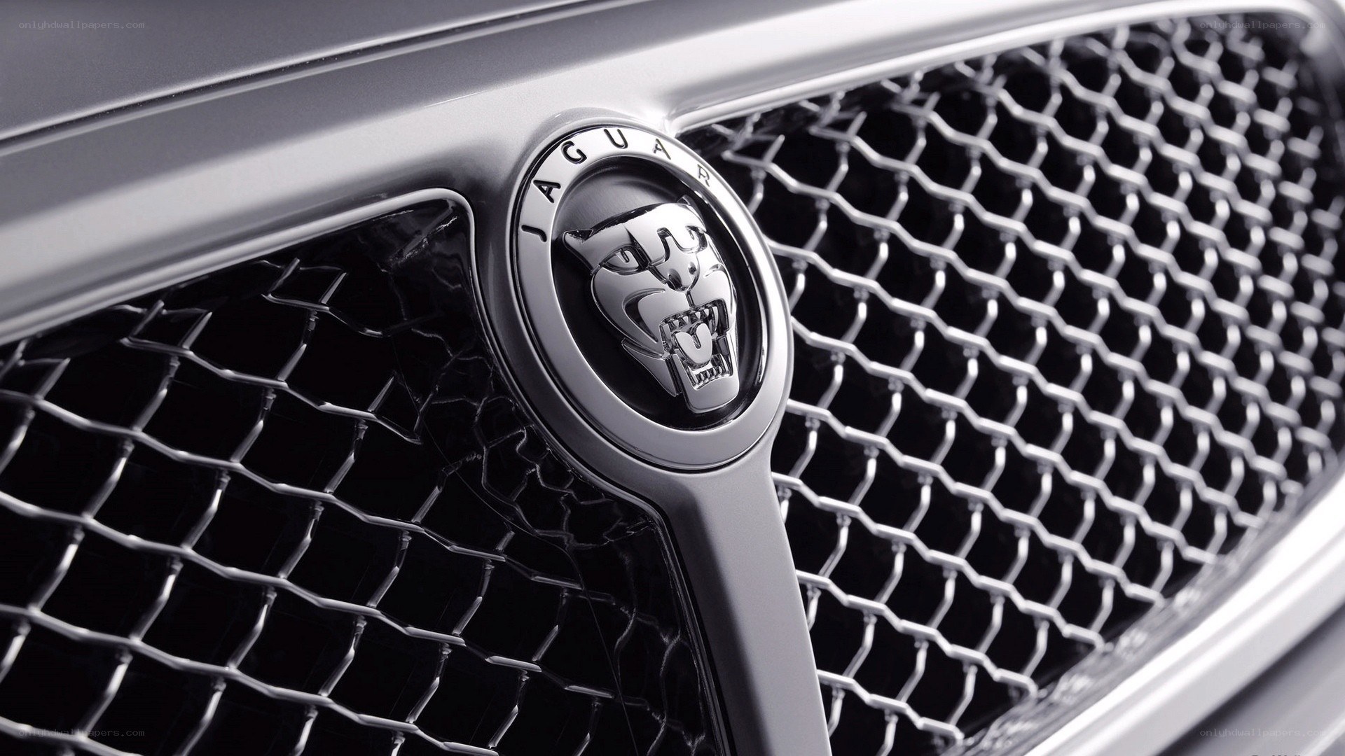 Jaguar car emblem close-up