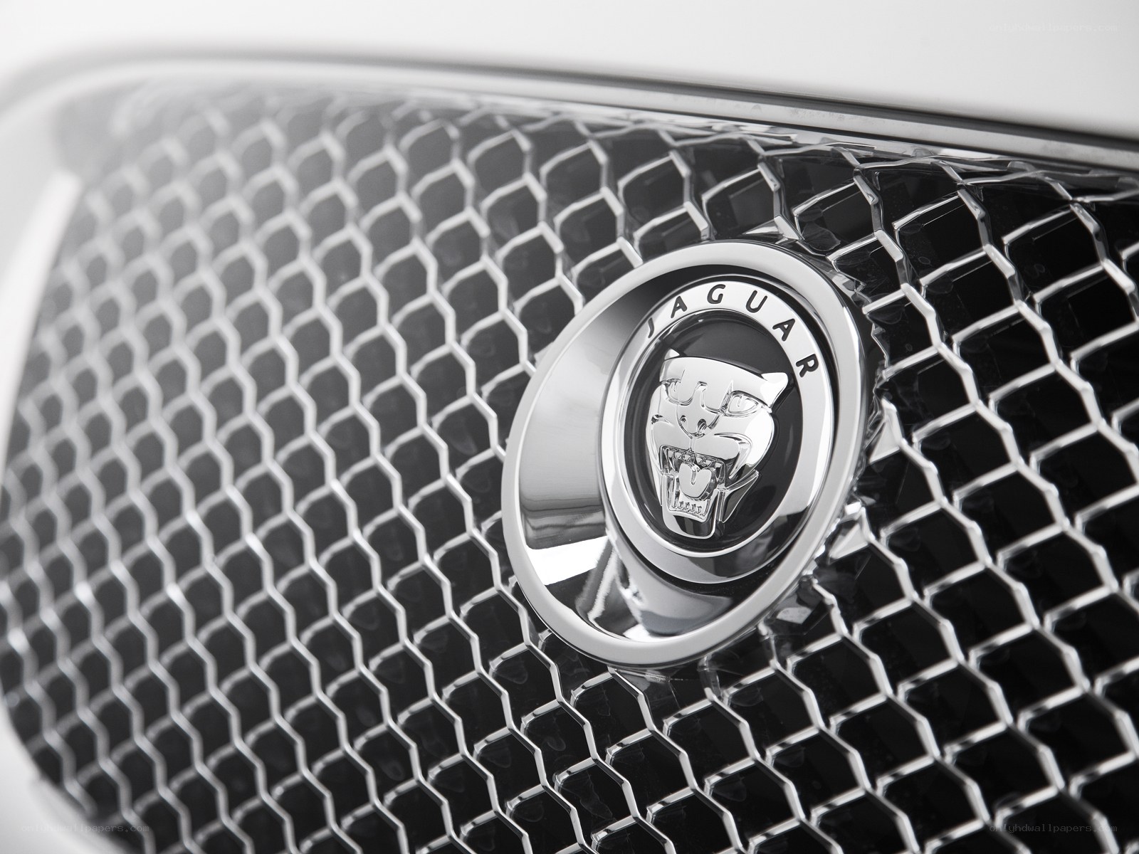 Jaguar car emblem close-up