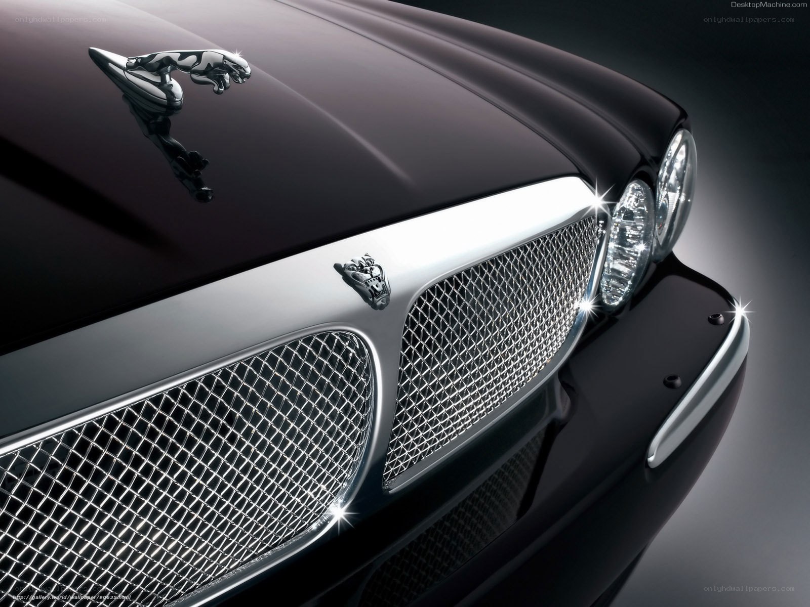 Jaguar car front grille