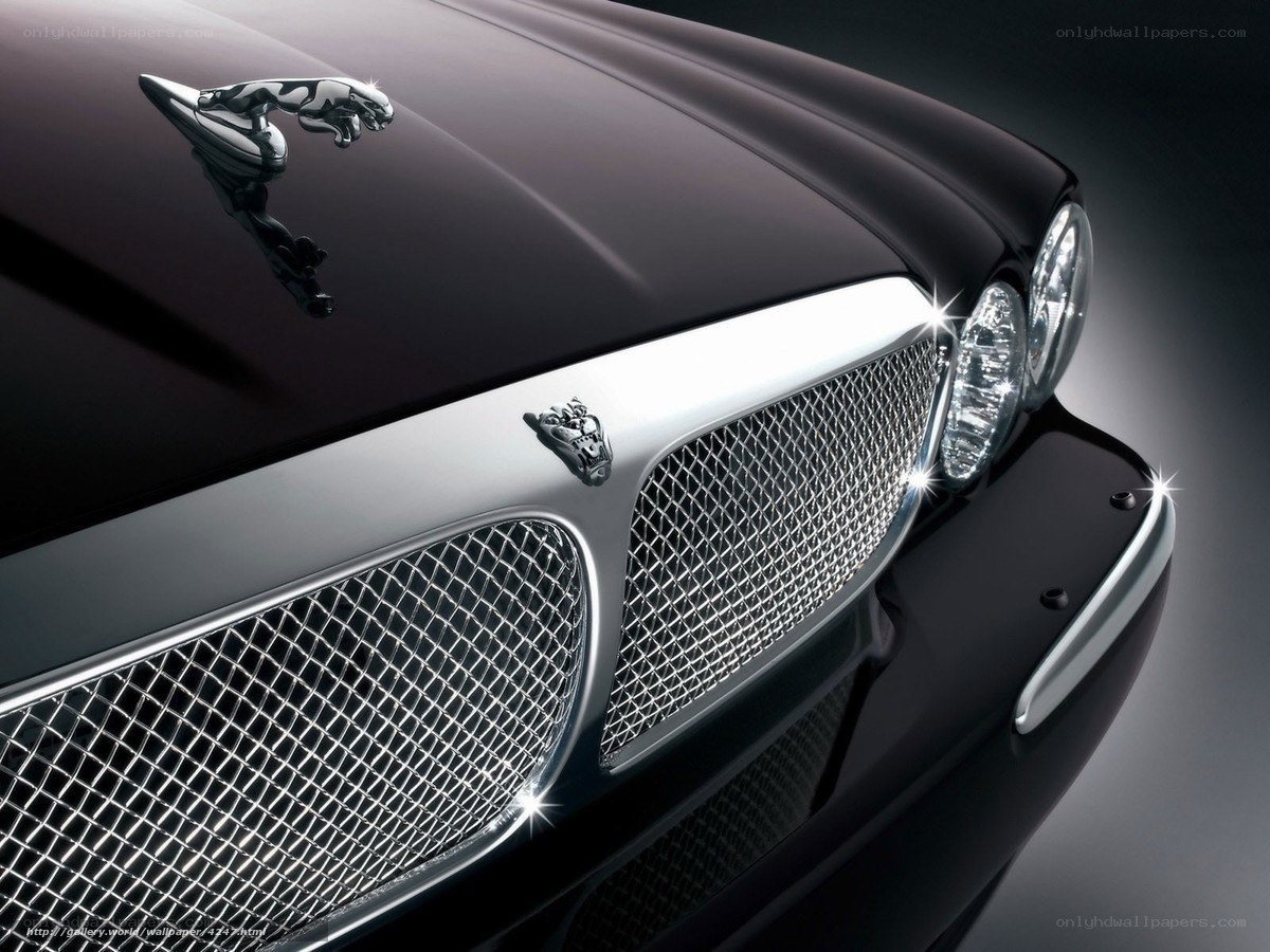 Jaguar car front grille