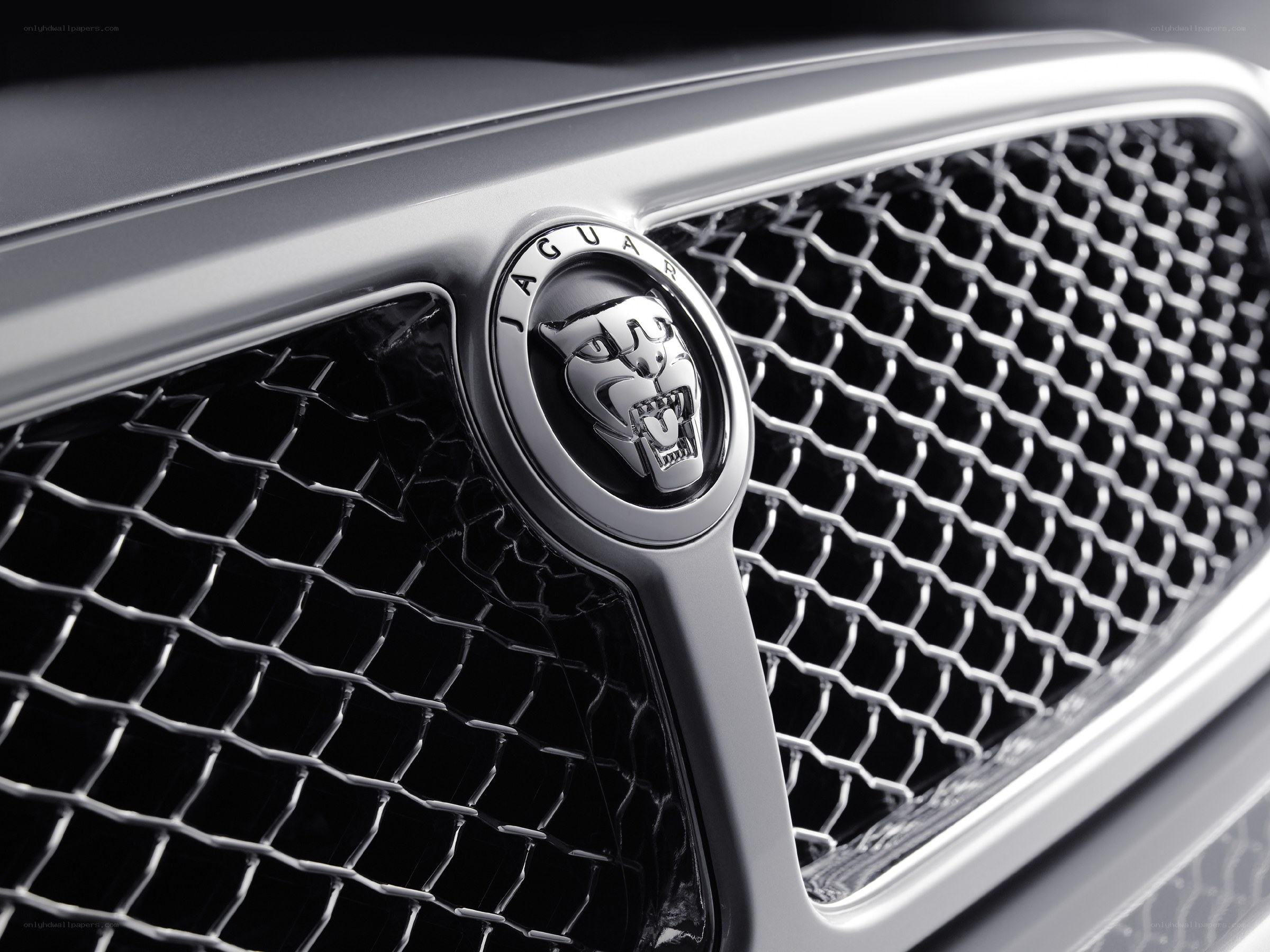 Jaguar car grille emblem
