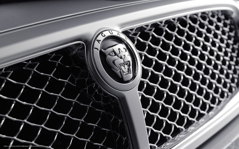 Jaguar car grille emblem