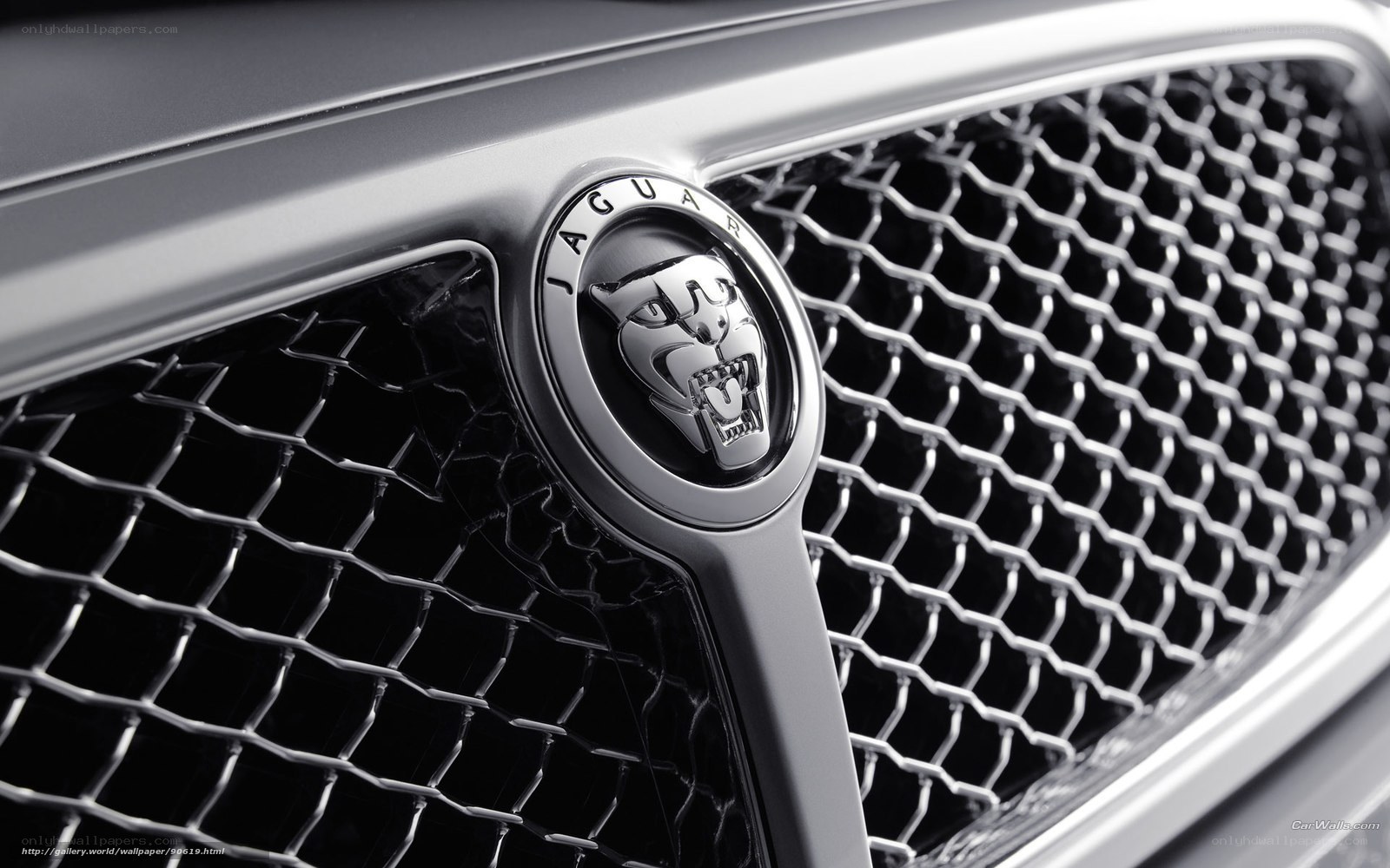 Jaguar car grille emblem