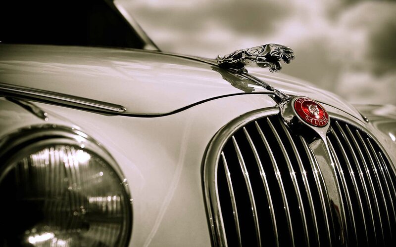 Jaguar Car Hood Ornament — White