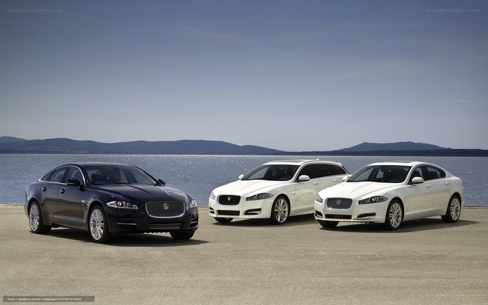 Jaguar cars by the water