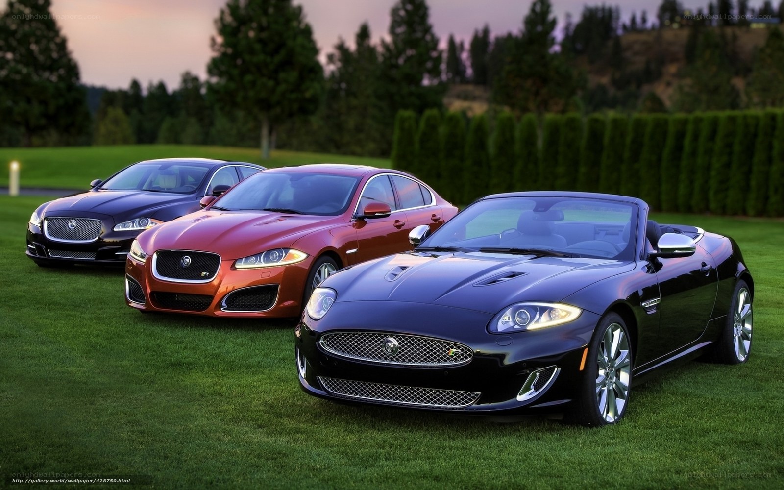 Jaguar cars on a lawn