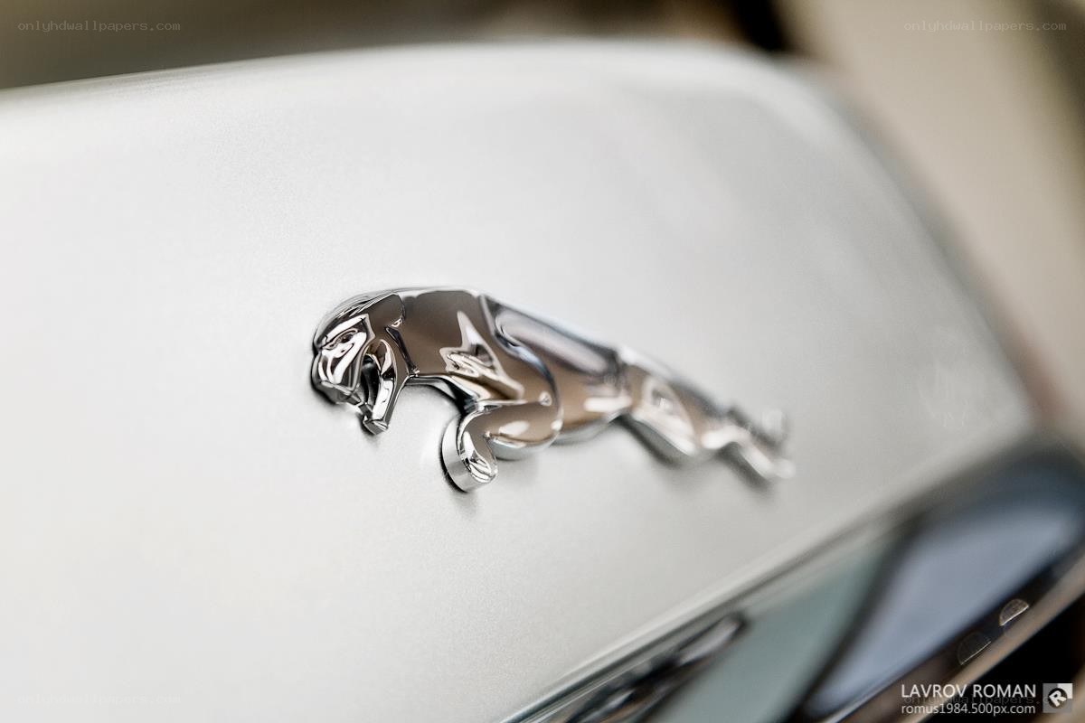 Jaguar emblem on car