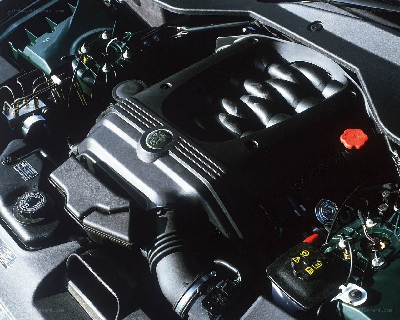 Jaguar engine bay