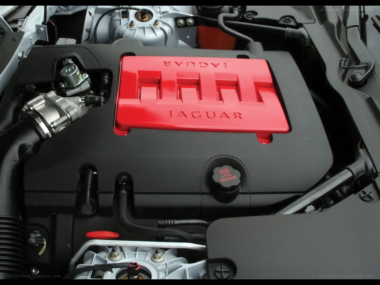 Jaguar engine bay