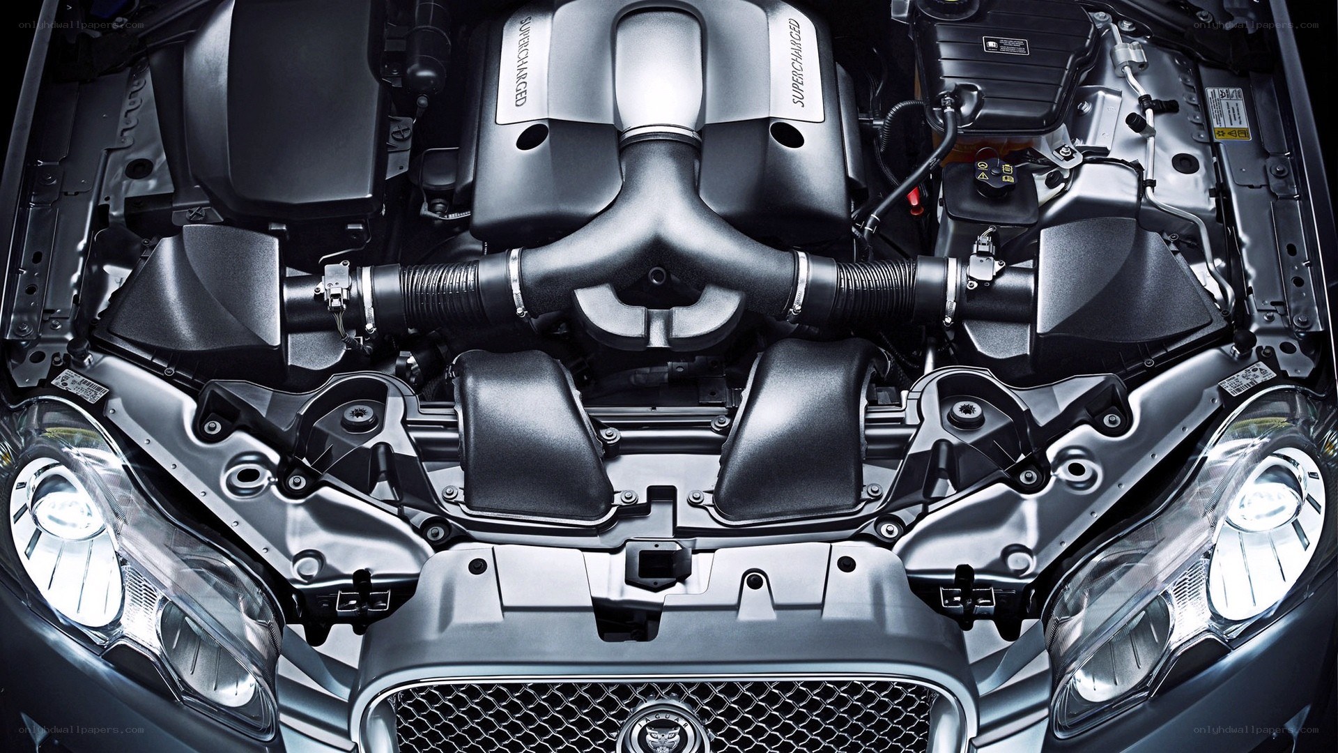 Jaguar engine bay view