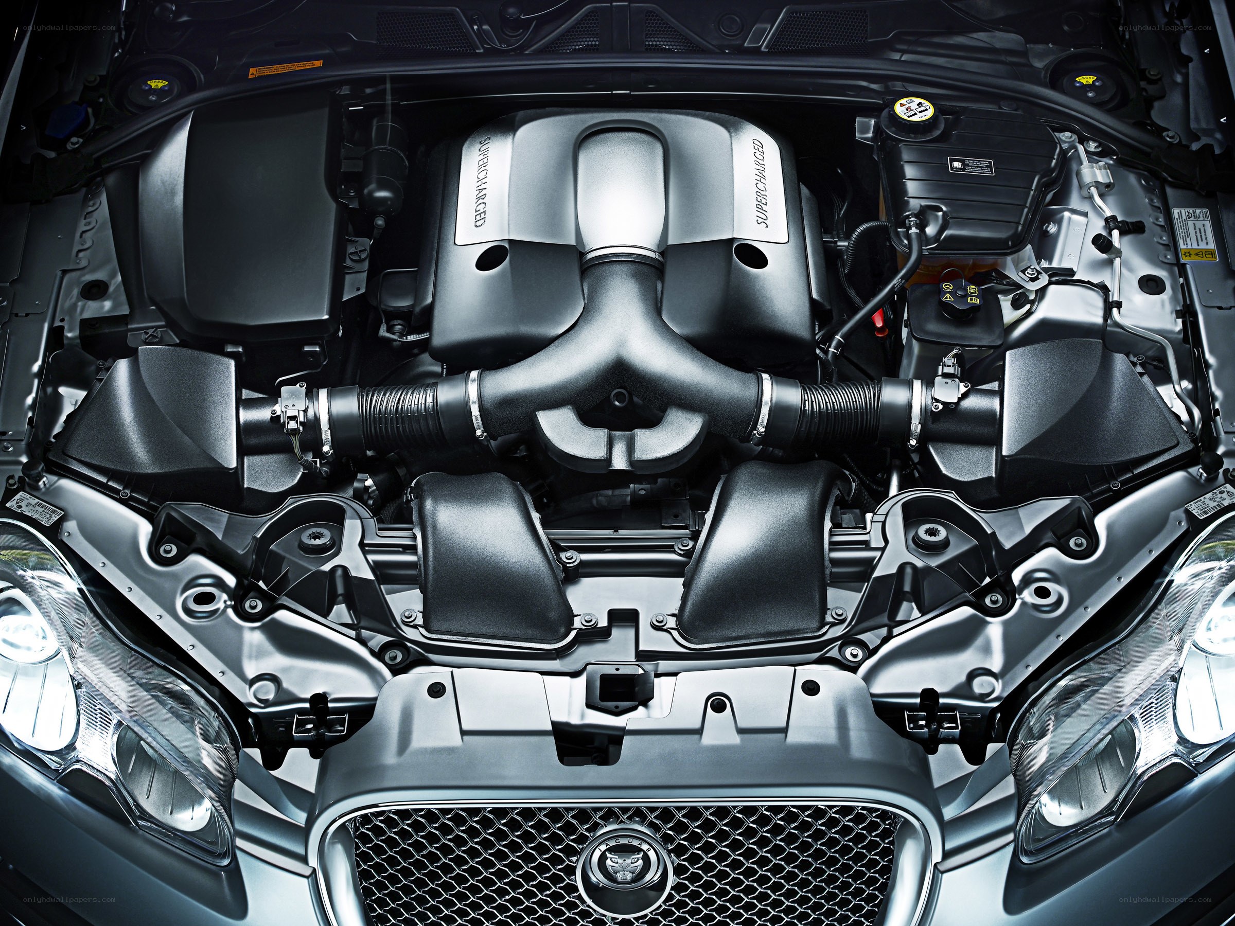 Jaguar engine bay view