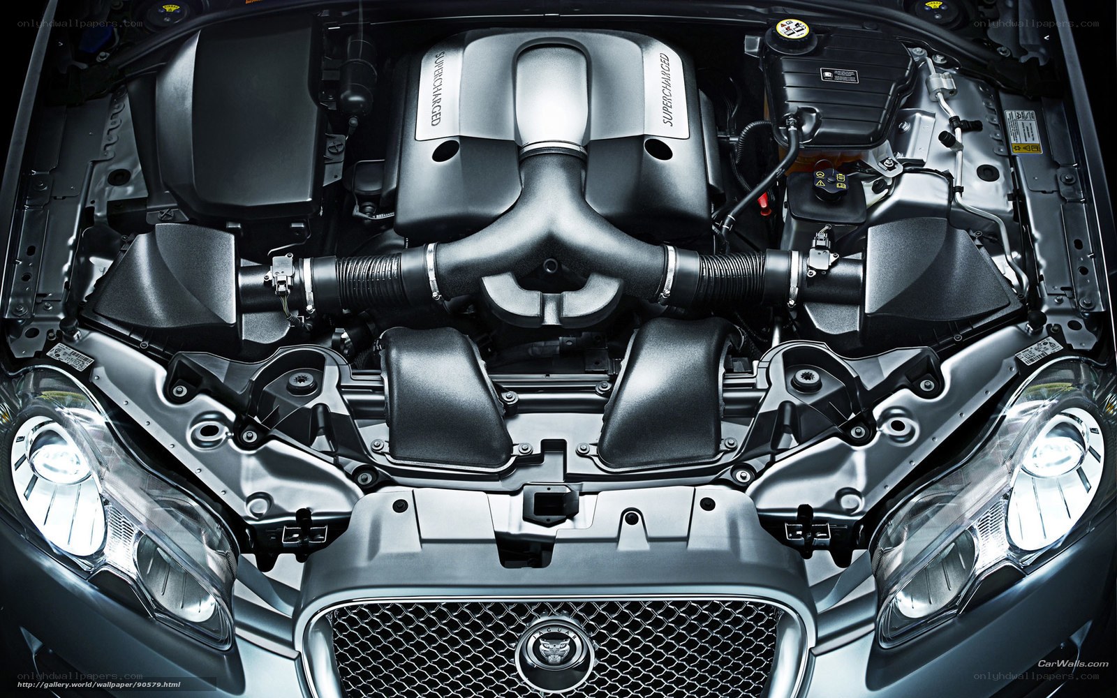 Jaguar engine bay