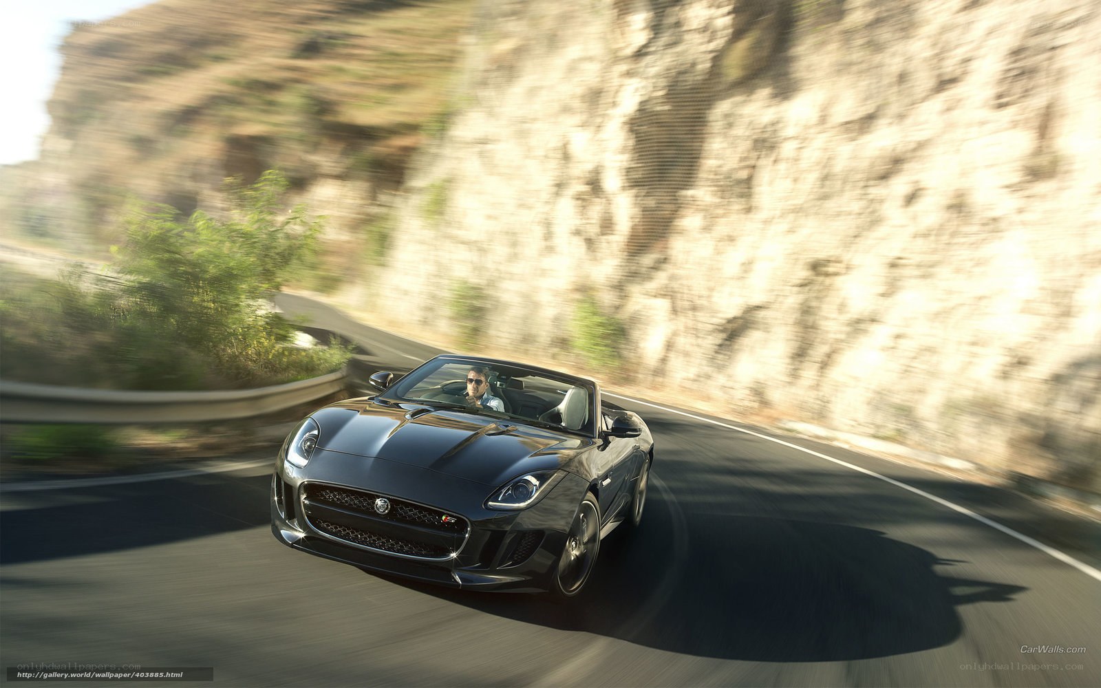 Jaguar F-Type convertible on winding road