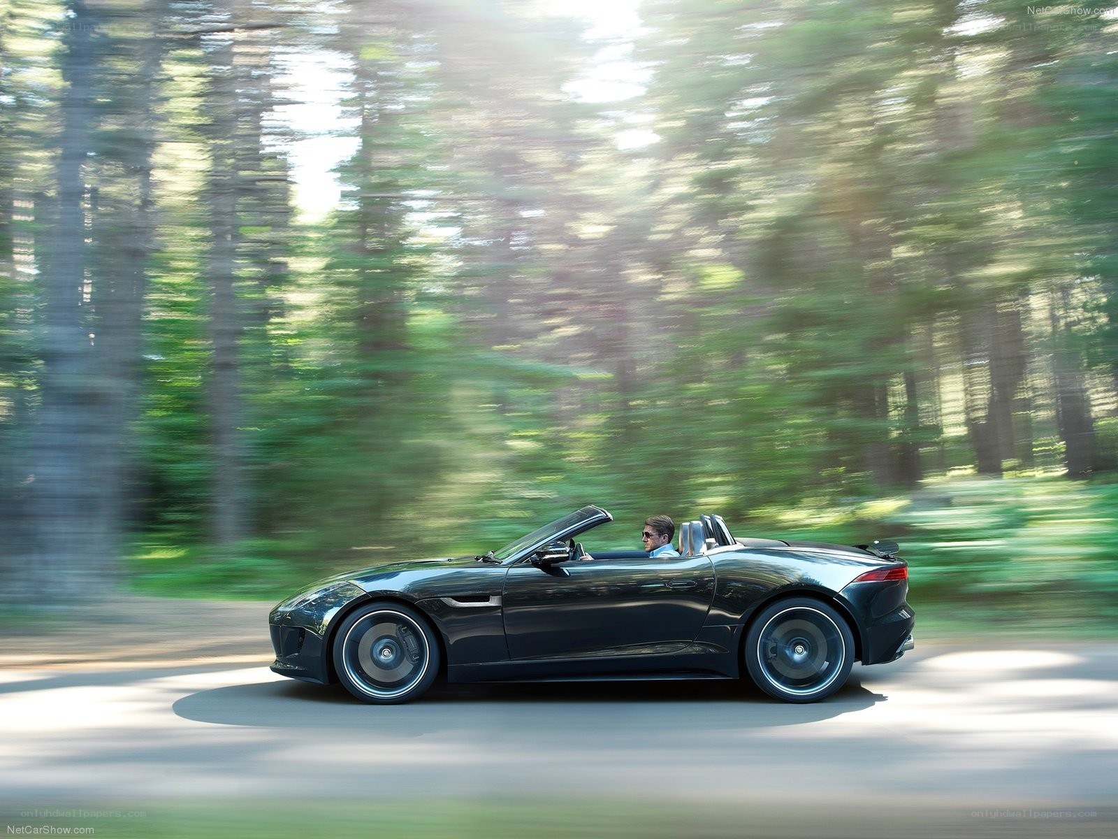 Jaguar F-Type driving in forest