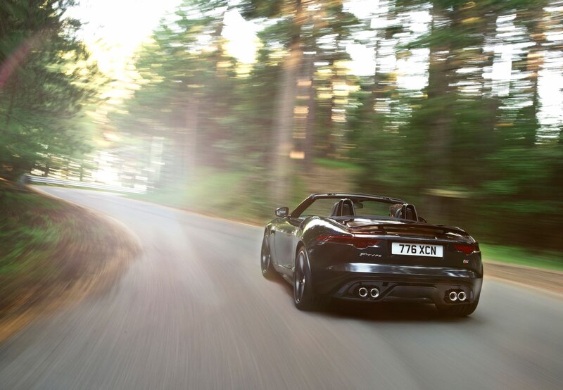 Jaguar F-Type driving on a forest road